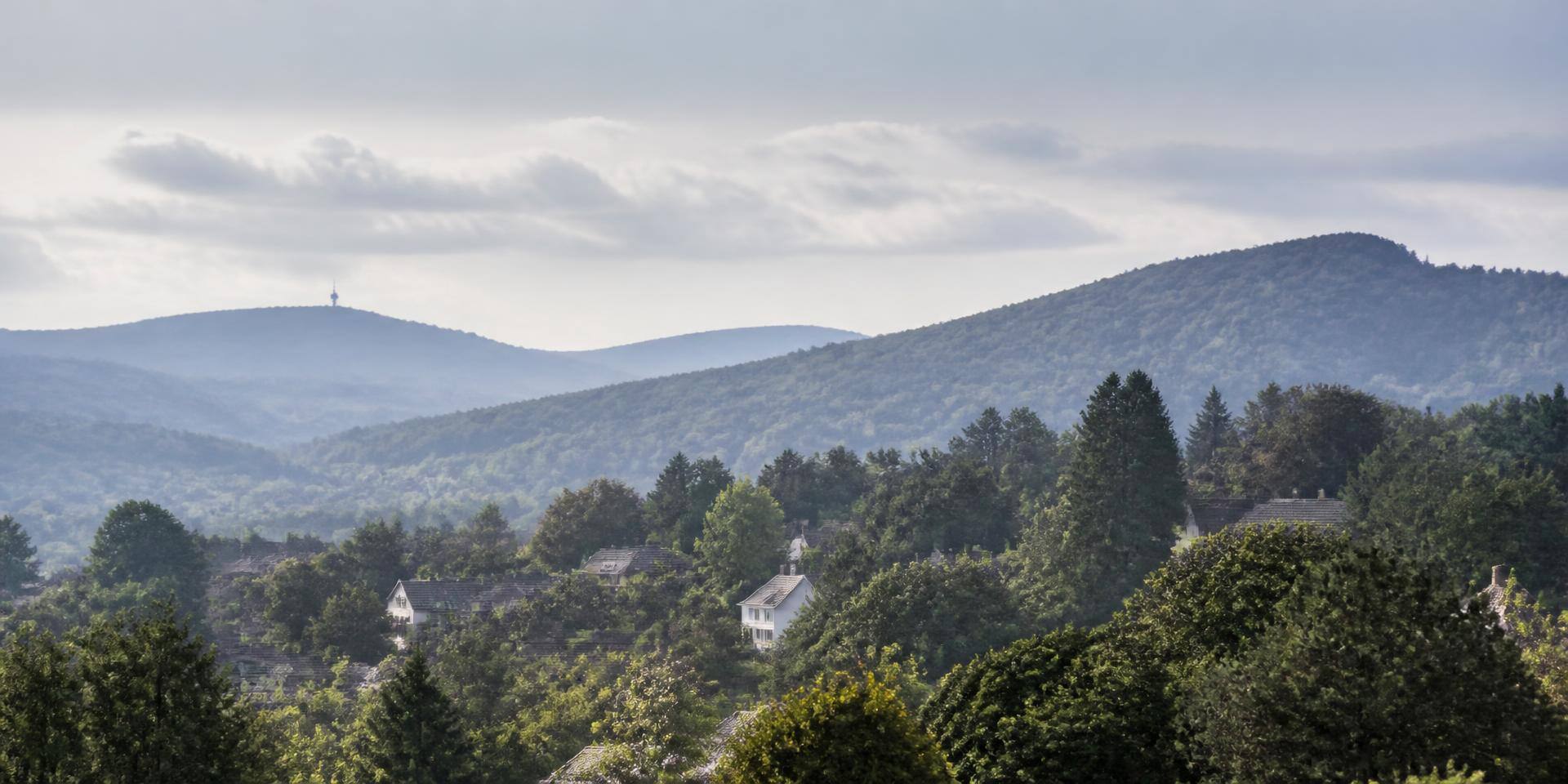 Bewaldete Taunushöhen mit hochwertigen Wohnlagen oberhalb von Königstein