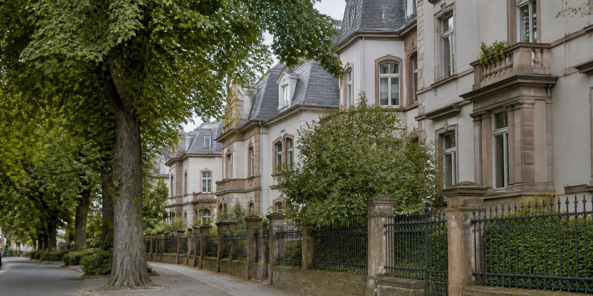 Villenstraße mit historischen Anwesen und altem Baumbestand in Bad Homburg